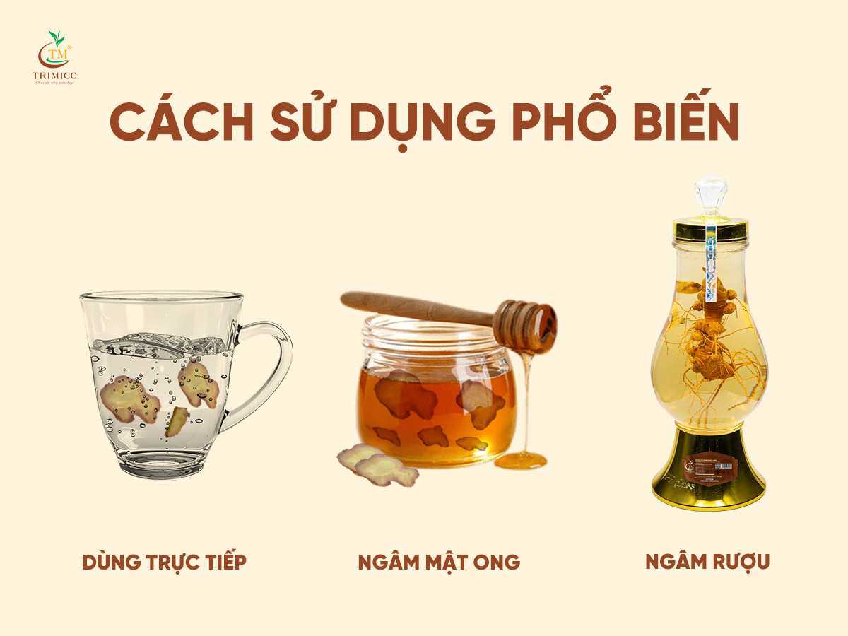 Bí mật về sâm Ngọc Linh tươi: Vì sao được gọi là “Quốc bảo” Việt Nam?